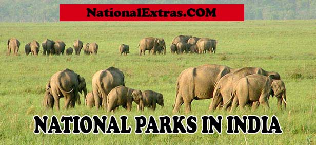 National parks in India | Latest national parks in india latest