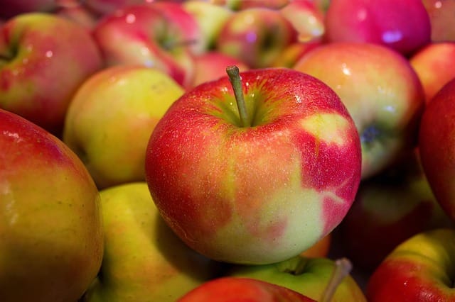 German Apples Day german apple recipes apples a day keeps the doctor away apples a day diet is it bad to eat 3 apples a day french apples english apples german fruit german grapes