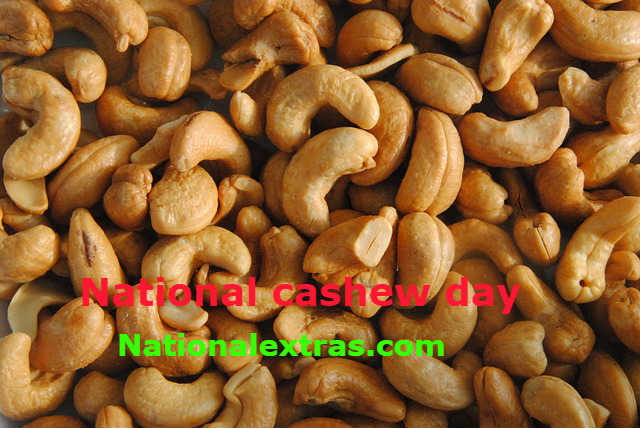 national cashew day-dry fruits and nuts